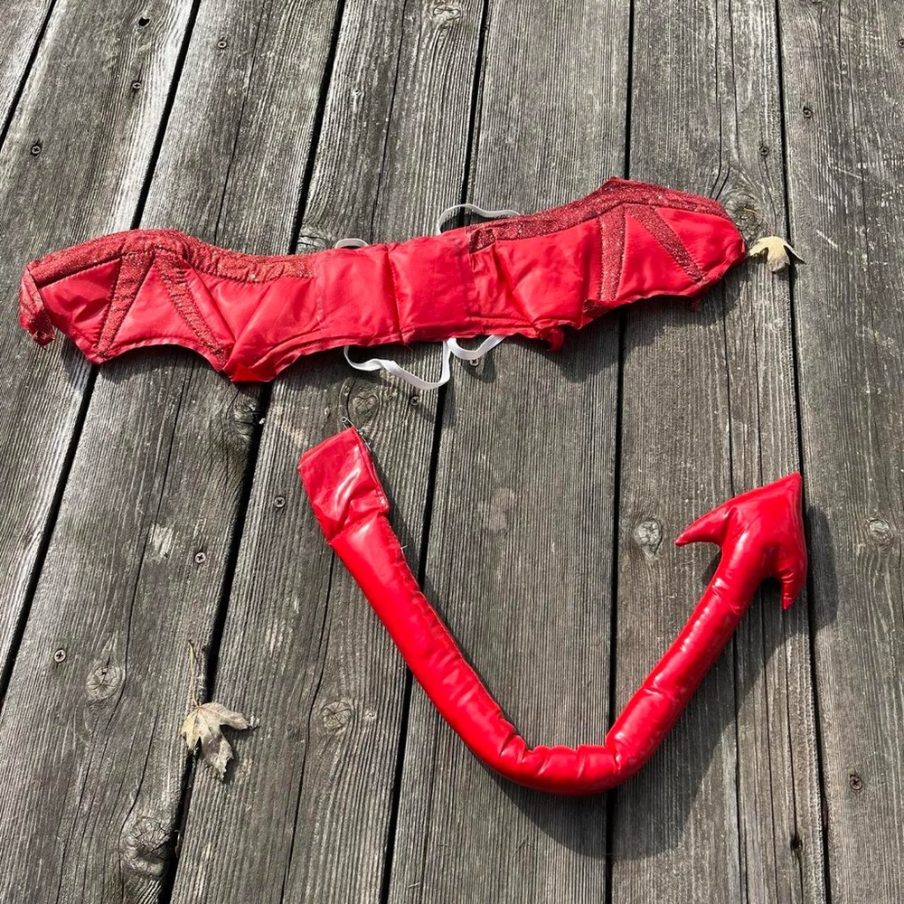 Halloween Devil Costume Accessories - image 1